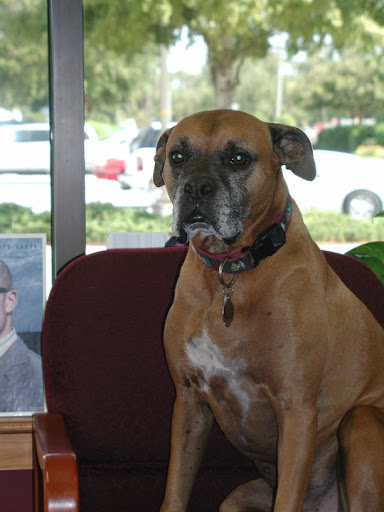 Optician «Ogden Optical Center», reviews and photos, 6836 Market St, Wilmington, NC 28405, USA