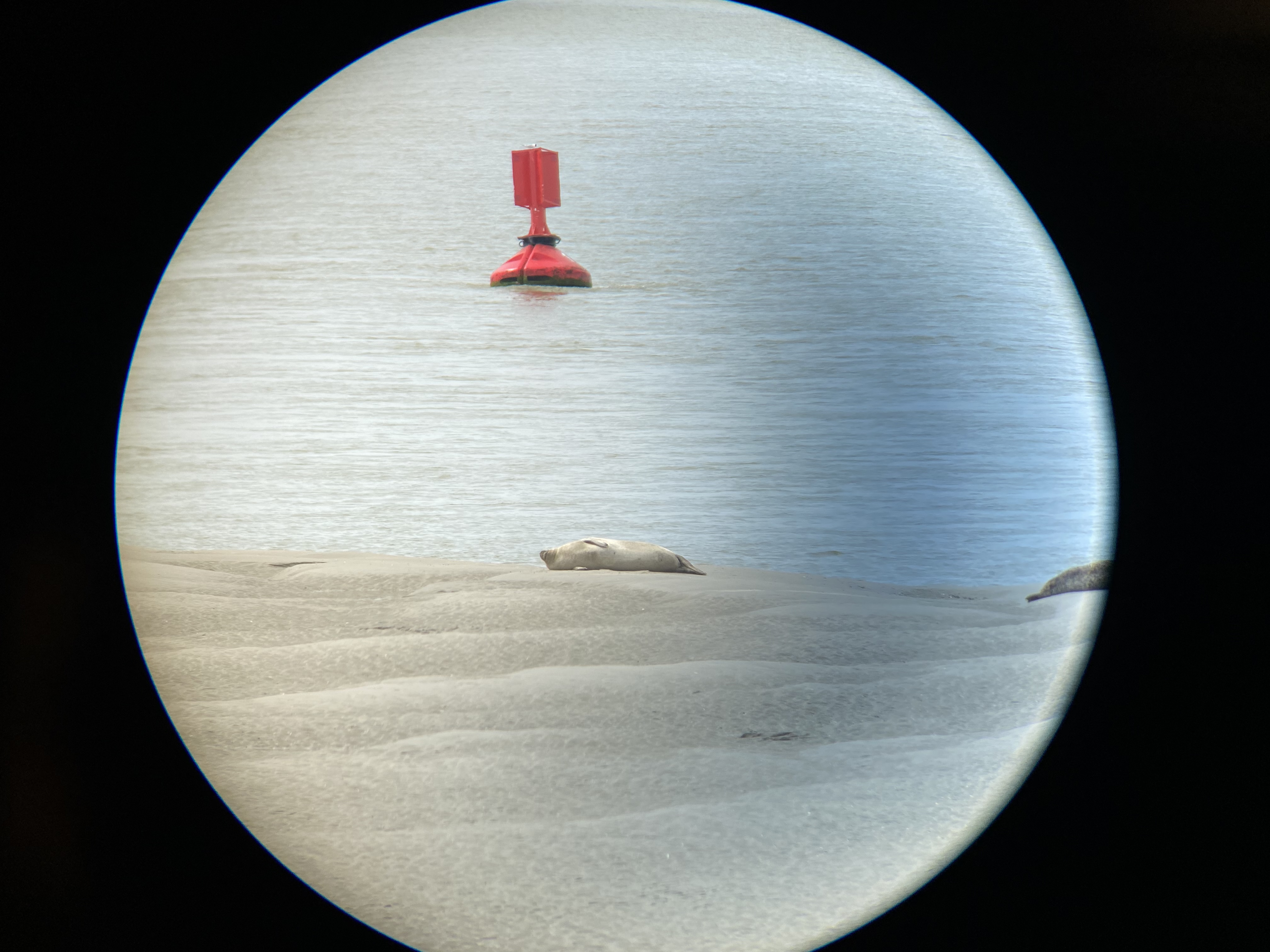 Photo n° 1 de l'avis de Evelyne.a fait le 03/07/2022 à 06:06