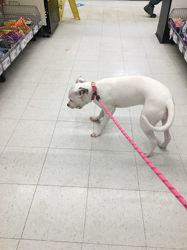 Pet Supply Store «Pet Supplies Plus», reviews and photos, 29402 Woodward Ave, Royal Oak, MI 48073, USA