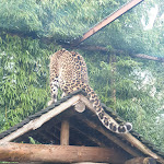 Photo n° 13 de l'avis de Régis.e fait le 01/01/2024 à 08:07 pour Zoo d'Amnéville à Amnéville