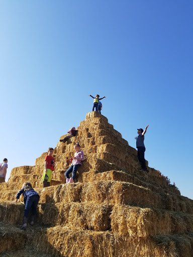 Railroad Company «Flower Farmer», reviews and photos, 2512 N Holly St, Canby, OR 97013, USA