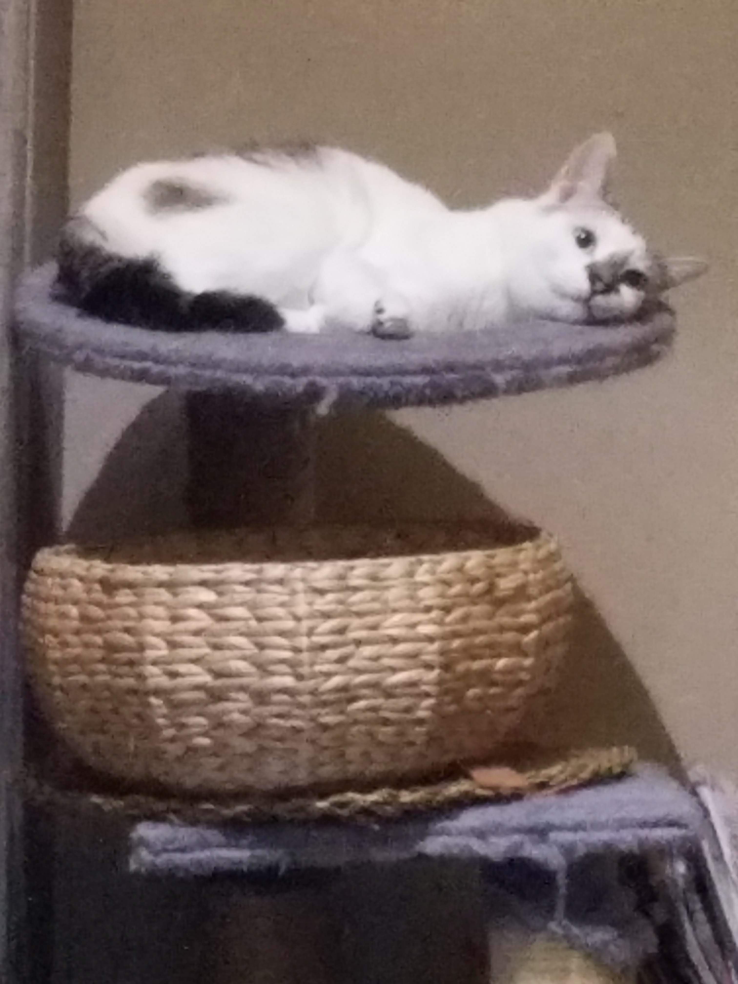 Photo n° 9 de l'avis de Olivier.a fait le 10/11/2018 à 23:00