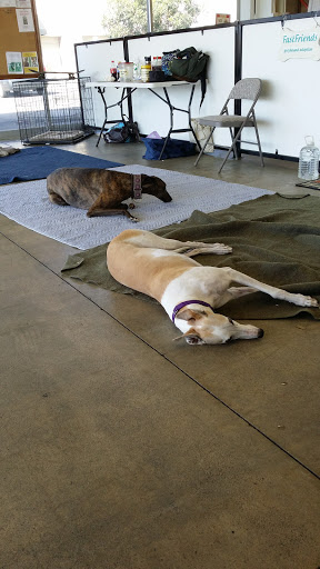 Pet Supply Store «Centinela Feed & Pet Supplies», reviews and photos, 22840 Hawthorne Blvd, Torrance, CA 90505, USA