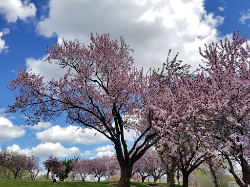 Golf Course «Apple Tree Golf Course», reviews and photos, 8804 Occidental Rd, Yakima, WA 98903, USA