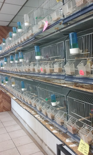 Pet Store «El Palomar Pet Shop Inc», reviews and photos, 4712 W Flagler St, Coral Gables, FL 33134, USA