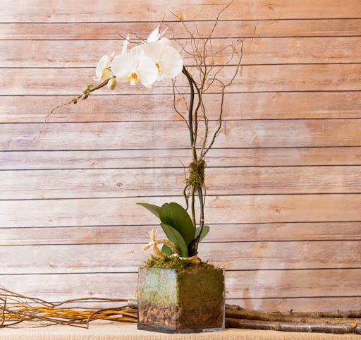 Florist «The FRENCH TULIP Studio», reviews and photos, 11523 Lantern Rd, Fishers, IN 46037, USA