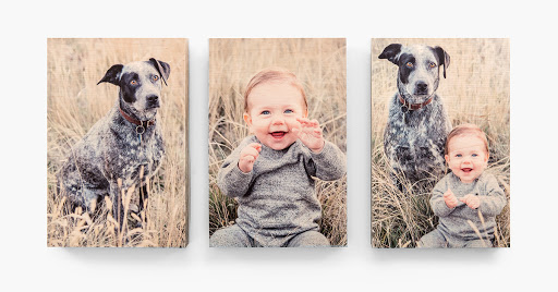 Photo Lab «Nations Photo Lab», reviews and photos, 11103 Pepper Rd, Cockeysville, MD 21030, USA