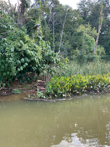 Park «Fort Foote Park», reviews and photos, Fort Foote Rd, Fort Washington, MD 20744, USA