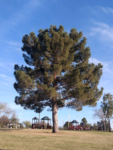 Park «Desert Horizon Park», reviews and photos, 16002 N 56th St, Phoenix, AZ 85004, USA