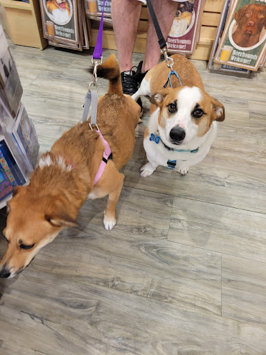 Pet Supply Store «USA Dog Shop», reviews and photos, 549 NY-17, Tuxedo Park, NY 10987, USA