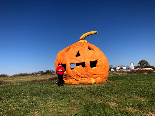 Solly Brothers, 707 Almshouse Rd, Warminster, PA 18974, USA, 