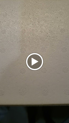 Ice Cream Shop «Morelia Gourmet Paletas», reviews and photos, 76 Miracle Mile, Coral Gables, FL 33134, USA