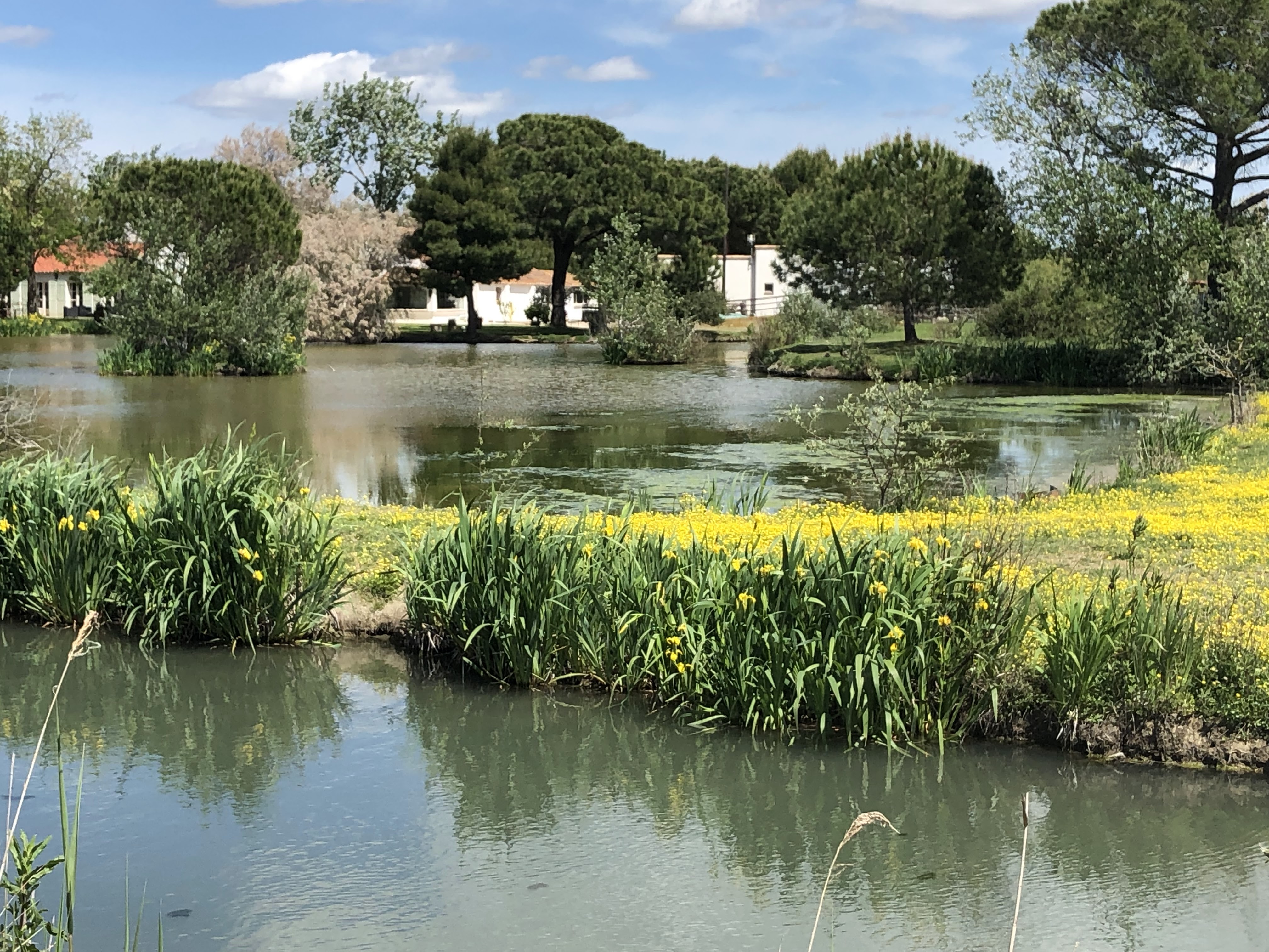 Photo n° 8 de l'avis de Christophe.e fait le 30/04/2019 à 17:51