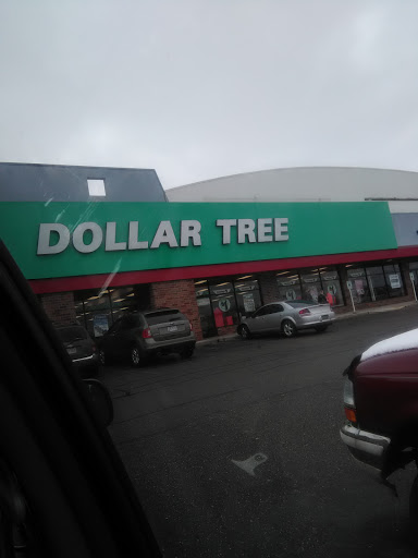 Dollar Store «Dollar Tree», reviews and photos, 2628 W State St, Alliance, OH 44601, USA