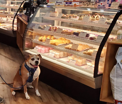 Pet Supply Store «Three Dog Bakery», reviews and photos, 444 Massachusetts Ave, Indianapolis, IN 46204, USA