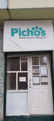 Clínica Veterinaria Pichos - Veterinario