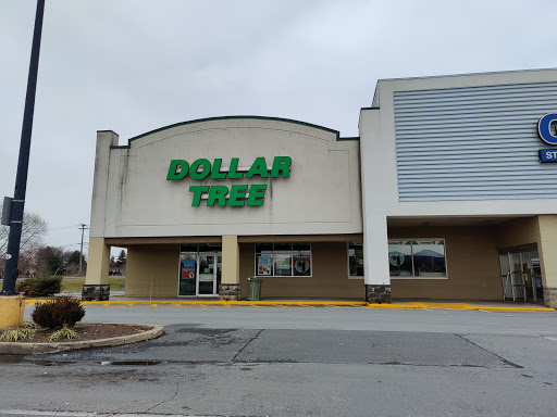 Dollar Store «Dollar Tree», reviews and photos, 166 Patrick Henry Way, Charles Town, WV 25414, USA
