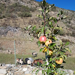 Photo n°2 de l'avis de Theo.r fait le 04/12/2017 à 18:50 sur le  Gasthof Hotel Sonne à Schlanders