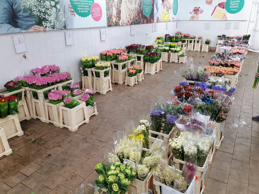 Artificial flower shops in Kiev