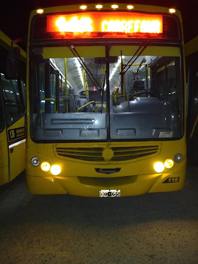 TCR Rosario Bus