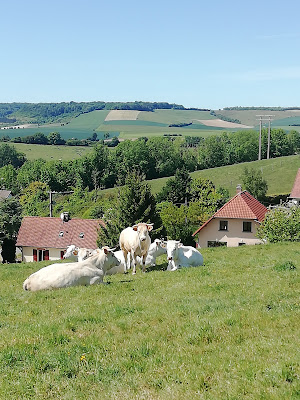Gite à la ferme La Grange Enchantee à Bezinghem