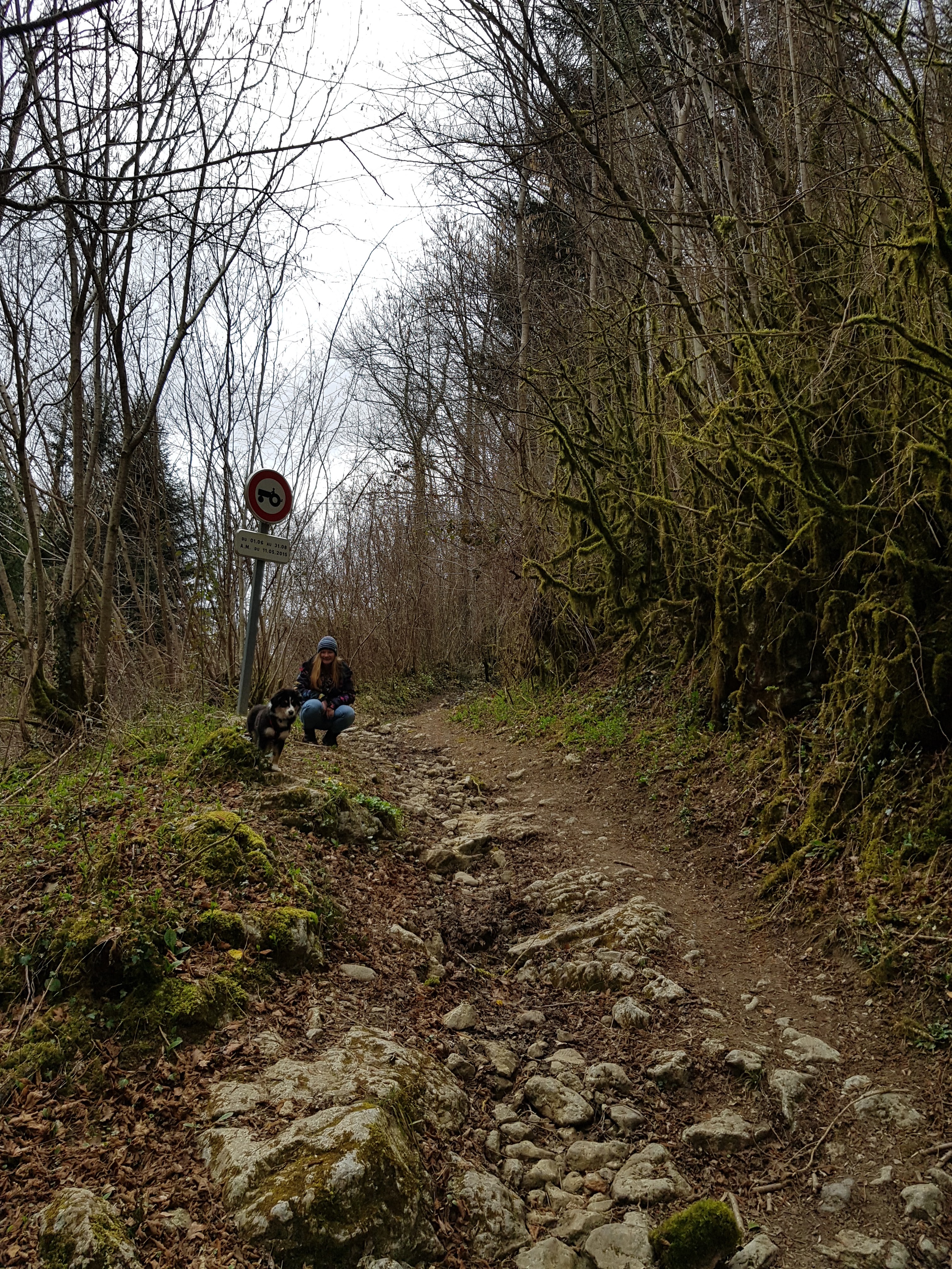 Photo n° 7 de l'avis de Jørn.. fait le 19/03/2019 à 07:57