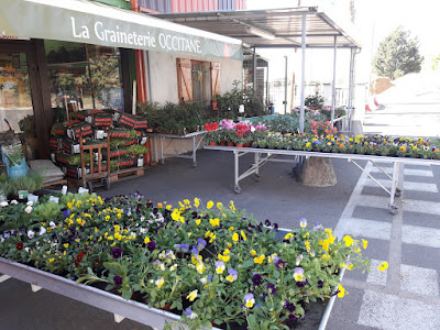 La Graineterie OCCITANE à Montauban