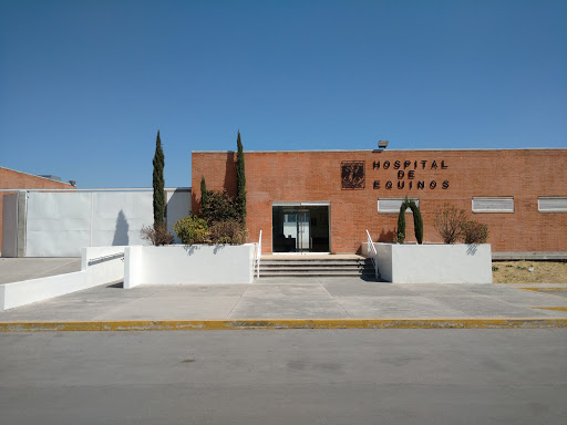 Hospital para Equinos FES Cuautitlán UNAM