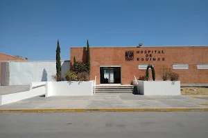 Equine Hospital for UNAM FES Cuautitlan image