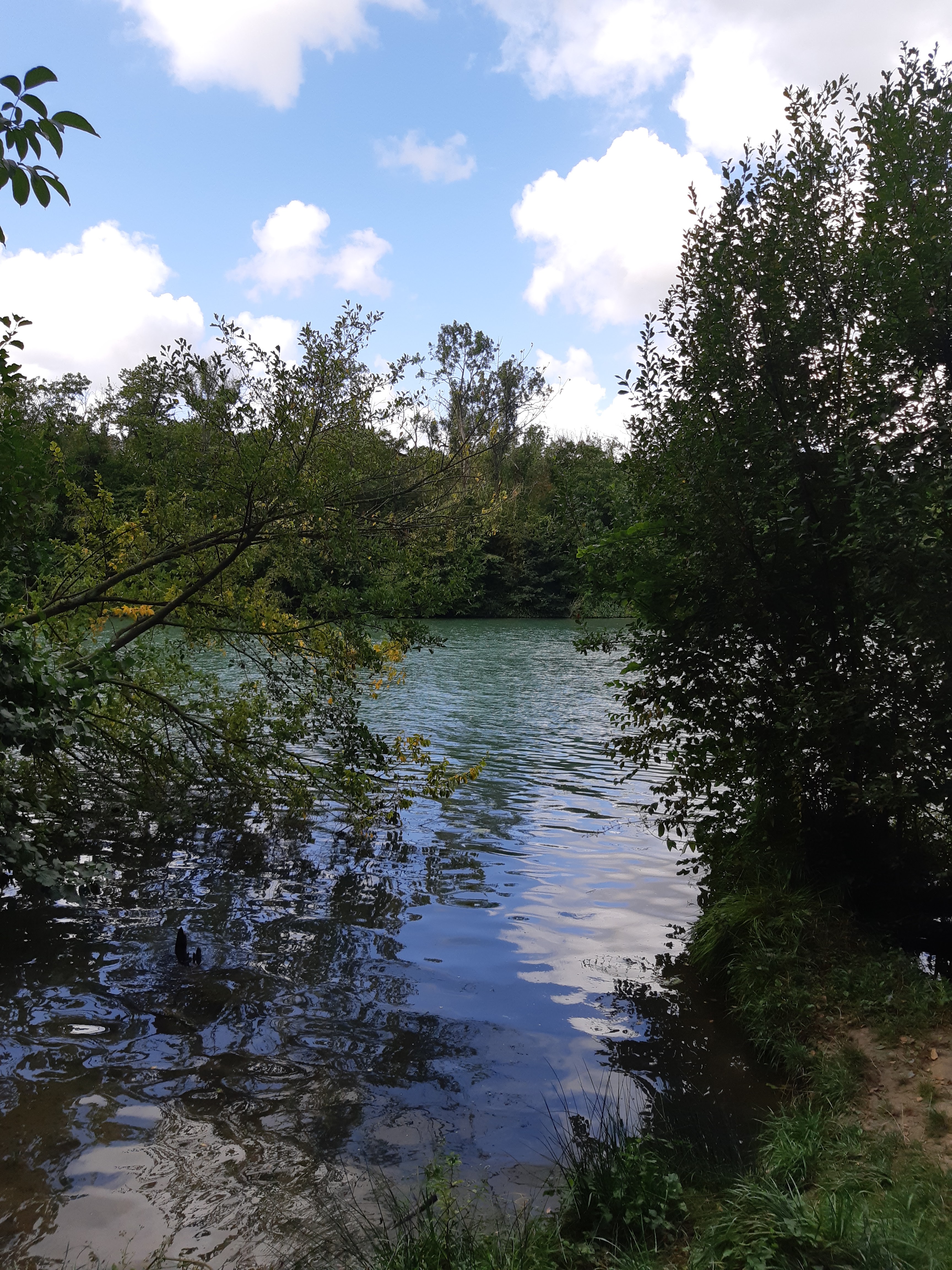 Photo n° 19 de l'avis de Tina.. fait le 08/09/2019 à 11:30