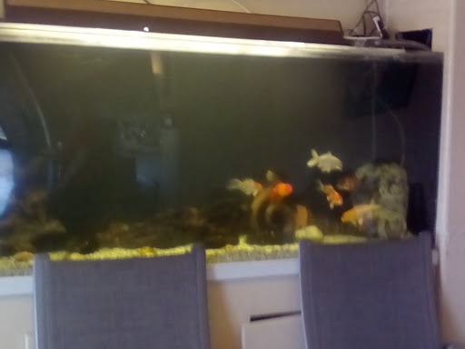 Car Wash «Quick Quack Car Wash - Arden», reviews and photos, 1609 Watt Ave, Sacramento, CA 95864, USA