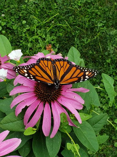 Plumber «Miller Sewer & Drain Cleaning», reviews and photos, 2416 Station Rd, Erie, PA 16510, USA