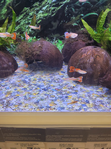 Pet Supply Store «Petco Animal Supplies», reviews and photos, 2805 E 29th Ave, Spokane, WA 99223, USA