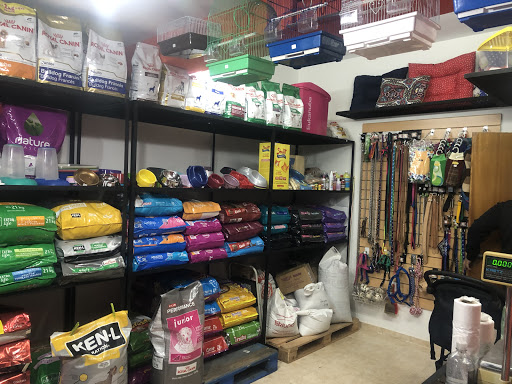 Tienda de mascotas:Dudu