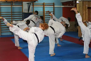 Taekwondo Lee Young Cerdanyola image