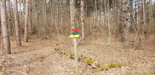 Nature Preserve «Sutherland Nature Sanctuary», reviews and photos, 3998 Diehl Rd, Metamora, MI 48455, USA