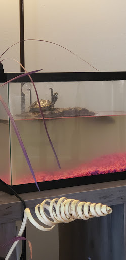 Pet Supply Store «Pet Supermarket», reviews and photos, 7805 Abercorn St, Savannah, GA 31406, USA