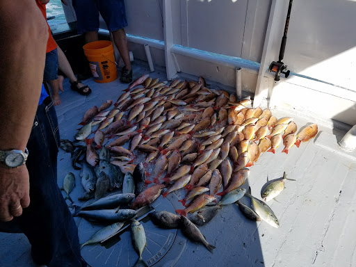 Fishing Charter «Fort Pierce Lady Deep Sea Fishing», reviews and photos, 480 N Indian River Dr, Fort Pierce, FL 34950, USA