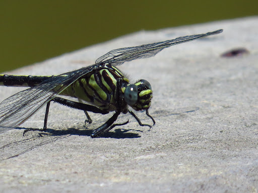 Park «Riverside Park», reviews and photos, 575 Riverside Rd, Roswell, GA 30075, USA