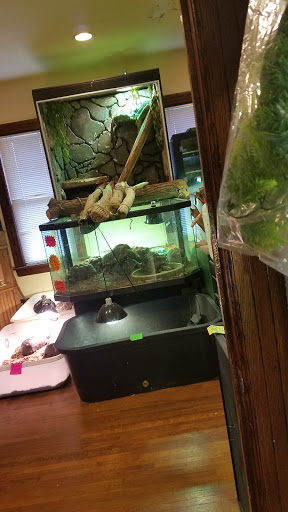 Reptile Store «Pets & Things», reviews and photos, 44825 Van Dyke, Utica, MI 48317, USA