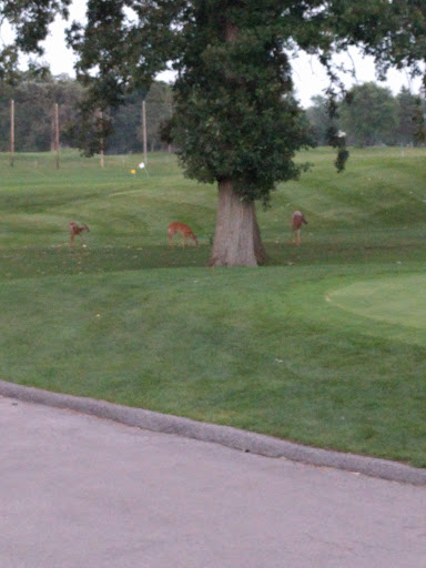 Golf Course «Lincoln Oaks Golf Course», reviews and photos, 395 E Richton Rd, Crete, IL 60417, USA