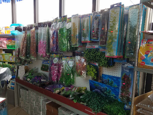Tropical Fish Store «Xtreme Fish & Pets», reviews and photos, 11415 Bellaire Blvd # A, Houston, TX 77072, USA