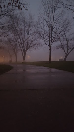 Brainard Park - photo 95