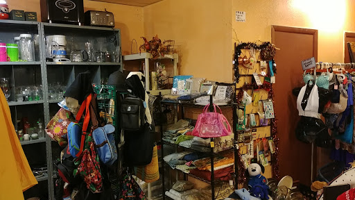 Thrift Store «Thrifty Nickel Tampa Thrift Store Re-Sale», reviews and photos, 7706 W Hillsborough Ave, Tampa, FL 33615, USA