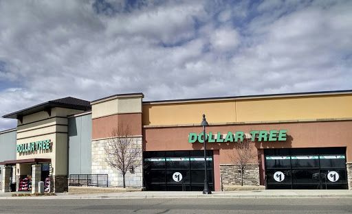 Dollar Store «Dollar Tree», reviews and photos, 2439 Prairie Center Pkwy, Brighton, CO 80601, USA