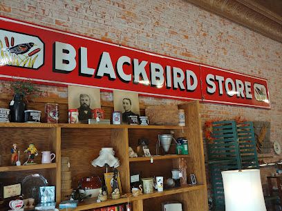Blackbird Store