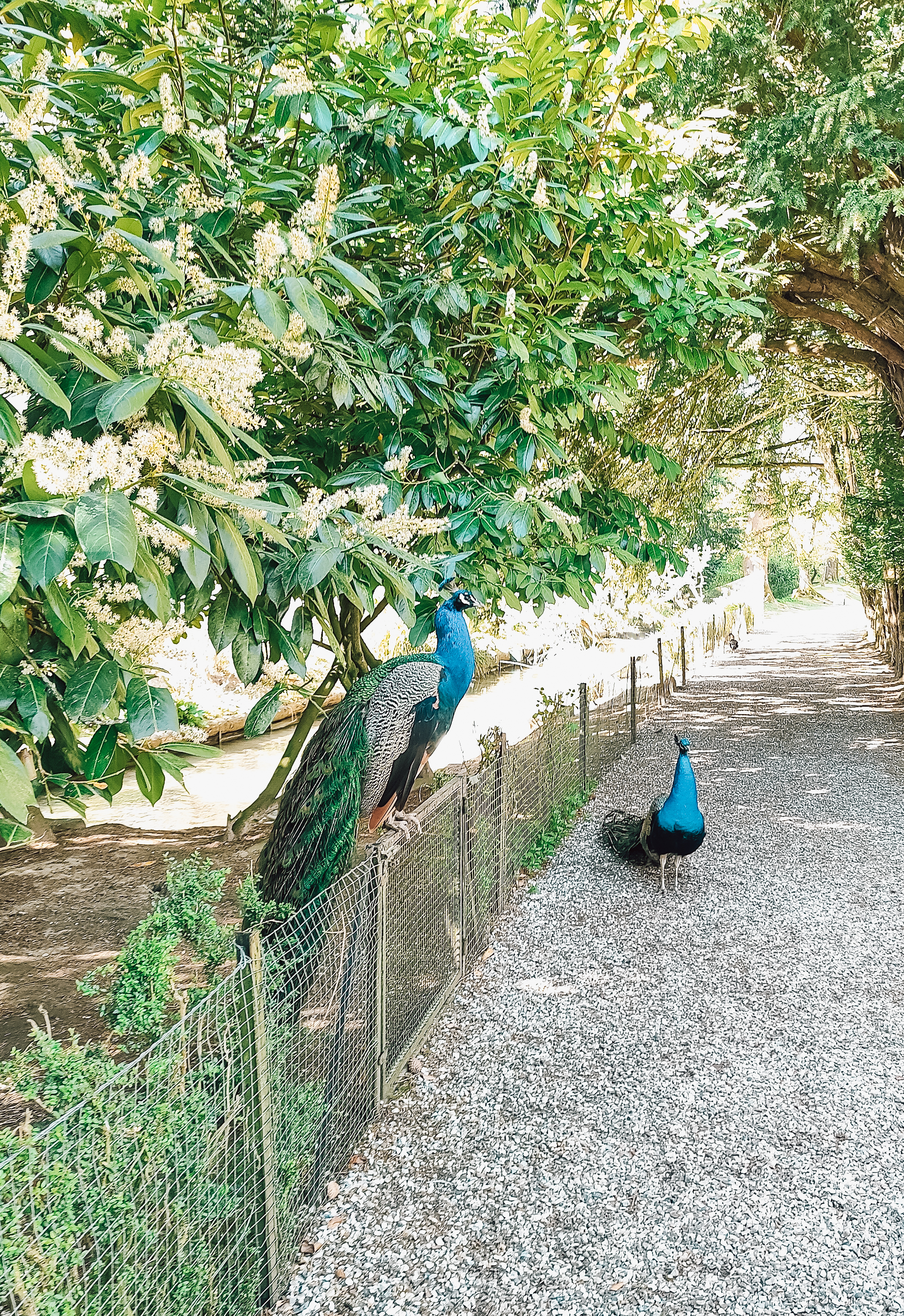 Photo n° 13 de l'avis de Chloé.b fait le 04/07/2021 à 12:42