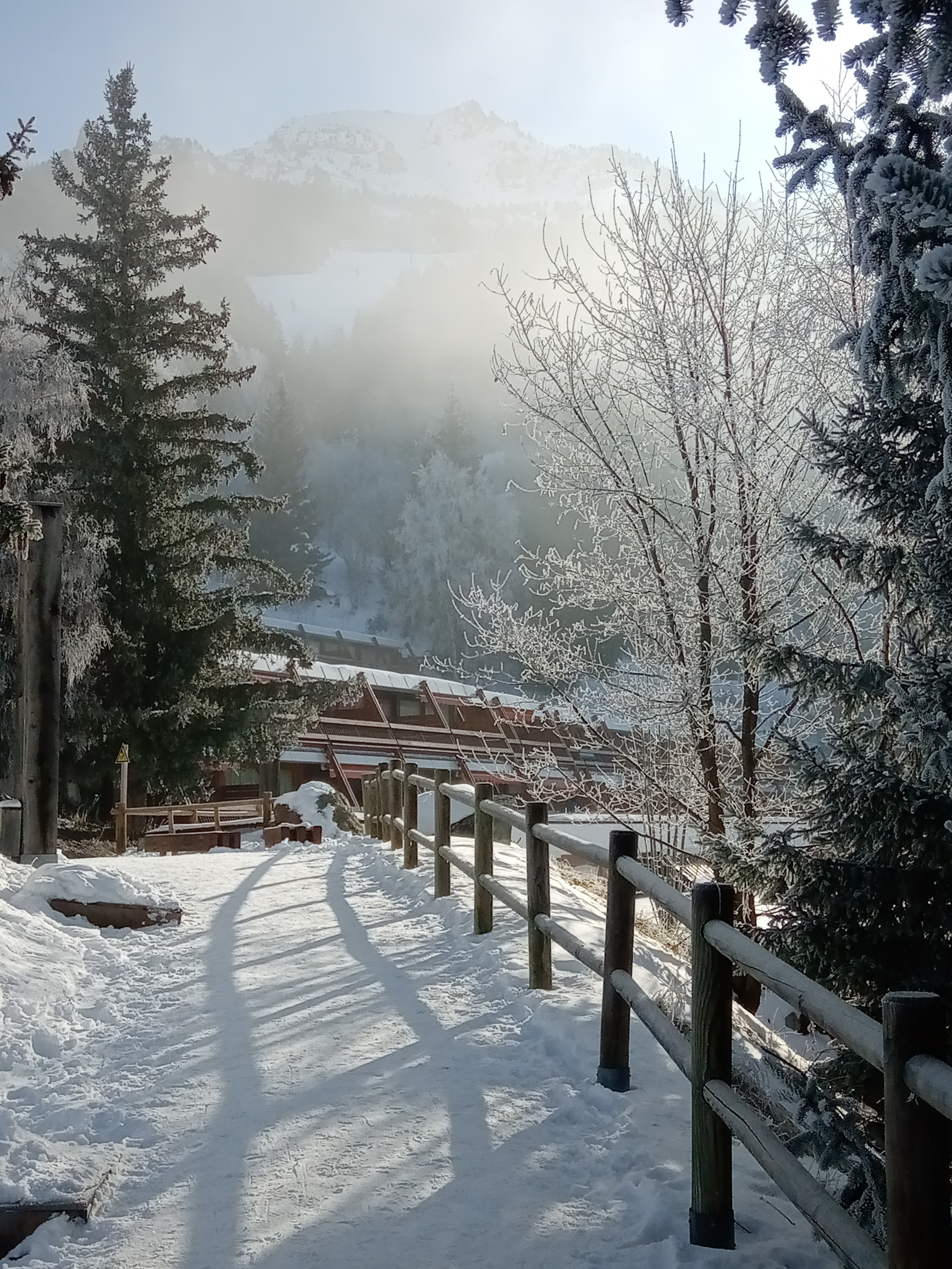 Photo n° 21 de l'avis de Laduig.6 fait le 29/01/2023 à 17:50