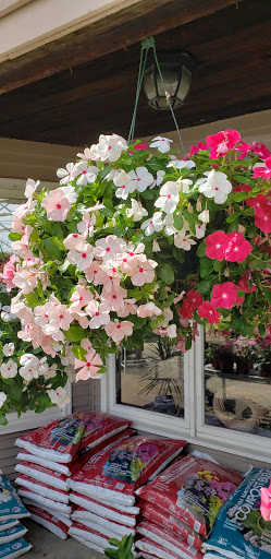 Florist «Colonial Gardens Full Service Florist & Garden Center», reviews and photos, 442 Fitchburg Turnpike, Concord, MA 01742, USA