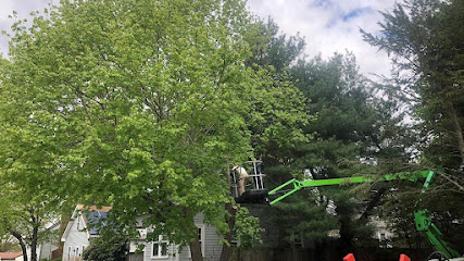 Mike & Mike's Tree Service